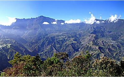 Tonton, lé inscrit à la Diagonale des fous !