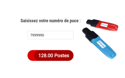 Vérifier facilement la contenance de sa puce SPORTident